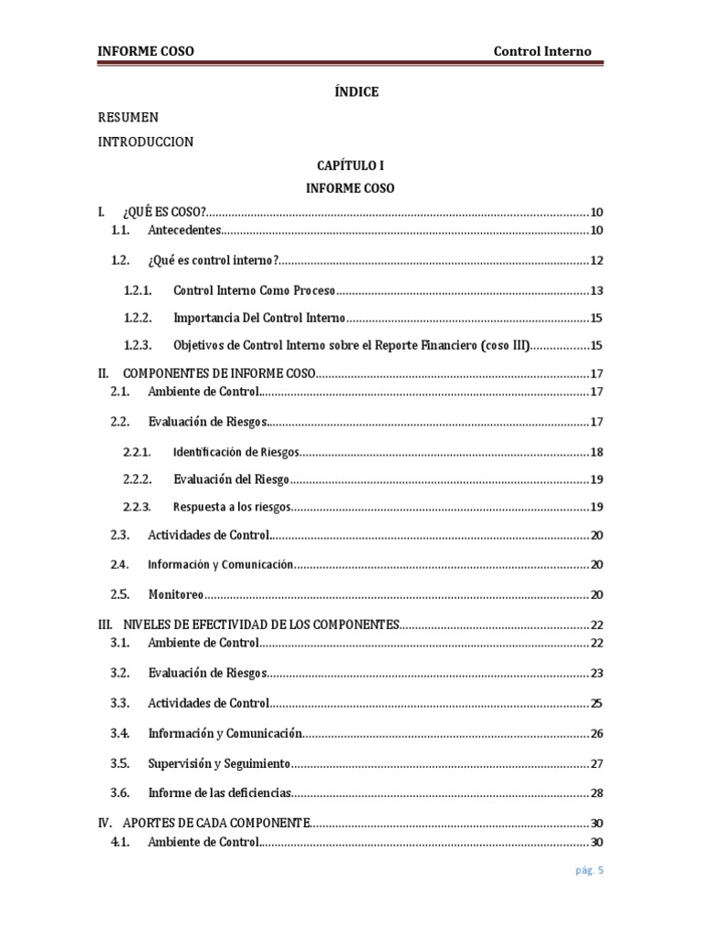 Informe COSO: Guía de Control Interno | PDF | Sistema | Contabilidad