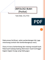 MORFOLOGI BUAH