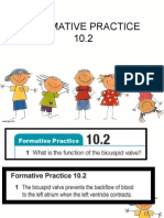 Formative Practice 10.2