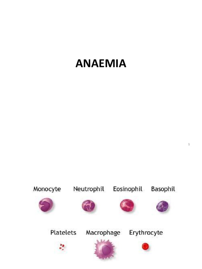 Anaemia Handouts 2019 | PDF | Anemia | Red Blood Cell