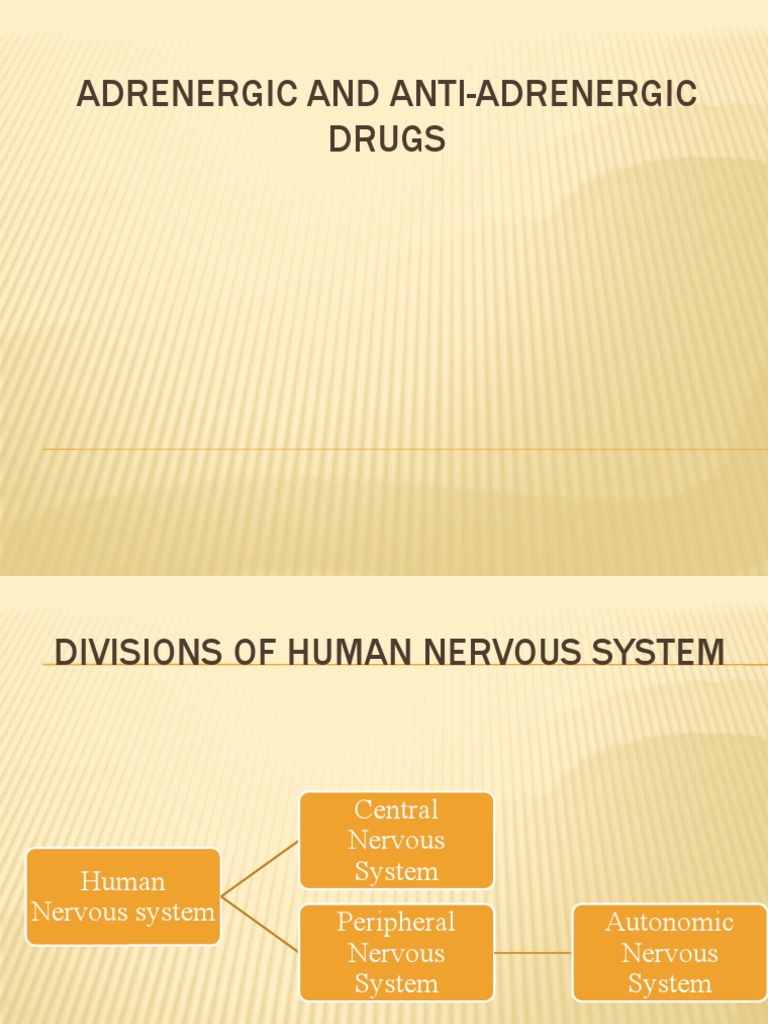 Adrenergic and Antiadrenergic Drugs Overview | PDF | Nervous System ...