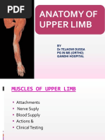 Anatomy of Upper Limb