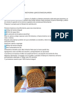 Pan Integral Definitivo