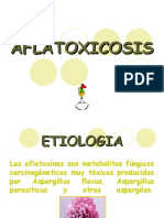 AFLATOXICOSIS