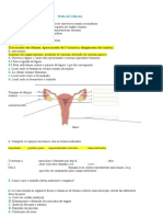 ficha de ciencias 22