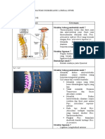 Anatomi Biomekanik Lumbal Spine Muhammad Annas Fathir