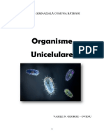 Organisme Unicelulare_Vasile_George_Ovidiu
