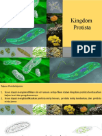 Protista