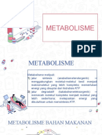 Metabolisme Nutrisi