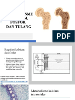 Metabolisme Kalsium, Fosfor, Dan Tulang