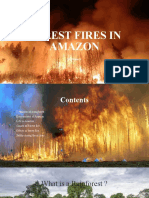 Forest Fires in Amazon