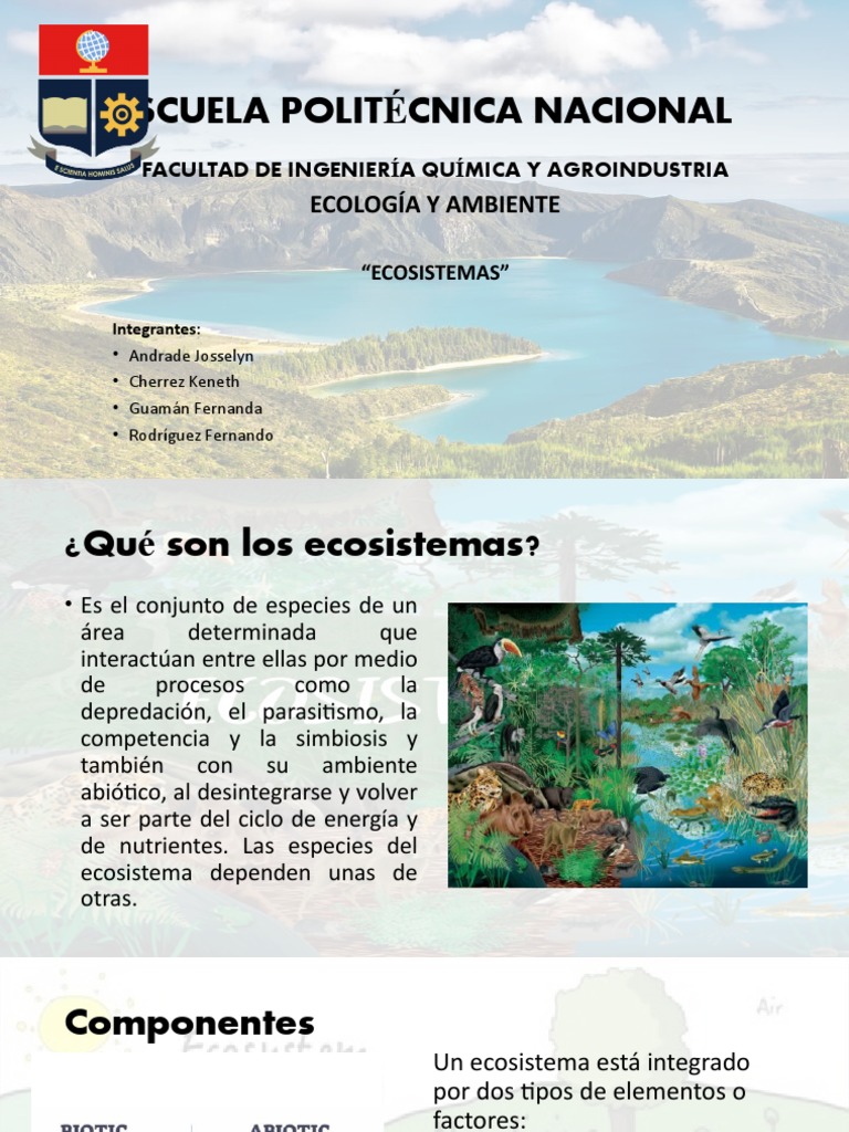Ecologia Ecosistemas | PDF | Ecosistema | Suelo