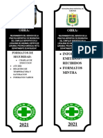 Lomo Seguridad Complejo Deportivo Carumas 2021