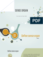 Sense Organ