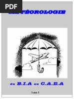 Guide de lecture des cartes TEMSI | PDF | Nuage | Physique appliquée et ...