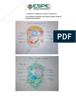 Laboratorio6-MurilloKarla