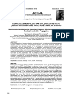 Jurnal: Keragaman Morfologi Dan Molekuler Ubi Kayu (Manihot Esculenta Crantz) HASIL PERBANYAKAN IN VITRO