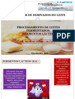 Slides Aula Sobre Fermentos Lácteos