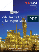 Cage Valve Brochure Spanish Version