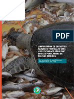 Rapport Importation de Crevettes Tropicales Et Impact Sur Les Tortues