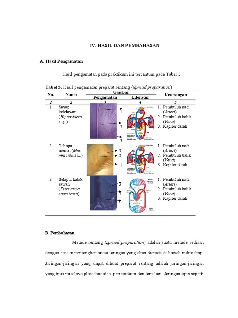 Sistem Peredaran Darah Mencit dan Katak | PDF | Ilmu Sosial | Sains ...