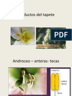 Productos Dle Tapete