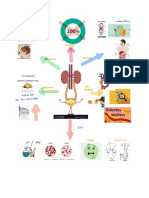 Understanding The Effects And Treatment Of Uremic Toxins