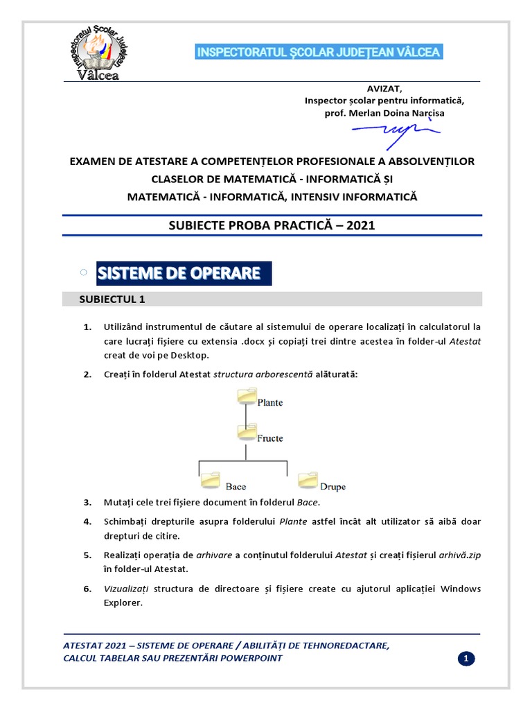 Subiecte 2021 SO Word Excel PowerPoint | PDF