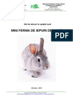 Idei de Afaceri - Mini Ferma de Iepuri