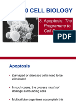 Biol2120 Cell Biology: 8. Apoptosis: The