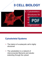 Biol2120 Cell Biology: Structures For Maintaining Cell Shape and Internal Organization