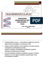 Introduccion A Las Macromo