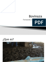 Bovinaza