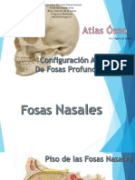 Fosas Profundas de La Cara