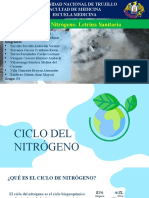 Tarea 15 - Ciclo Del Nitrógeno y Letrina Sanitaria