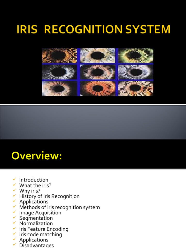 Biometric Atm Iris Recognition 11193 YWYOufv | PDF | Vision