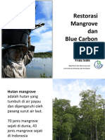 Restorasi Mangrove dan Blue Carbon