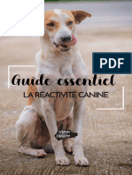 Guide essentiel _ La réactivité canine(1)