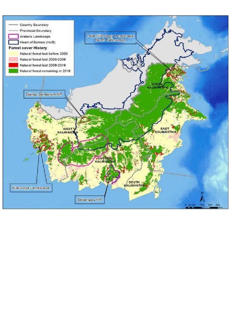 Reforestasi hutan Kalimantan 2025