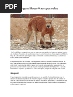 Документ Microsoft Word (2)