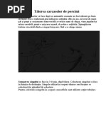 Tăierea  și scurgerea singelui a carcaselor de porcină