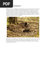 Boli Transmise Prin Consumul de Carne