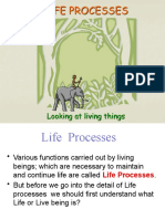 Life Processes