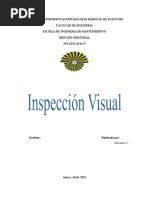 Download Inspeccion Visual by macuax SN54898323 doc pdf