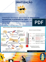 Aclimatização gradual ao calor