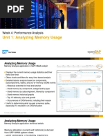 Unit 1: Analyzing Memory Usage: Week 4: Performance Analysis