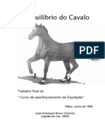 O Equilibrio Do Cavalo