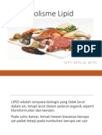 Metabolisme Lipid Lemak