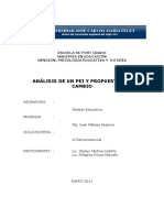 Analisis y Propuesta de Pei