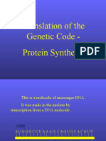 Protein Synthesis Imp 3 Class